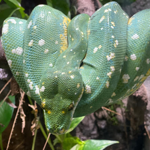 Meet your Posher, Deb - Picture 1 of 1